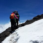 Mt.Kilimanjaro trekk with Simba Africa Safaris