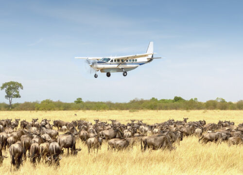 Serengeti Fly in, Fly out Safari Luxury Safari – 4 Days